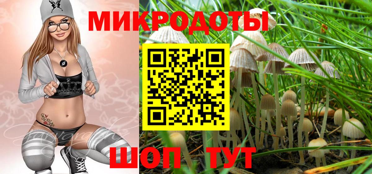 Псилоцибиновые грибы MAGIC MUSHROOMS  Вход с VPN  Рославль 